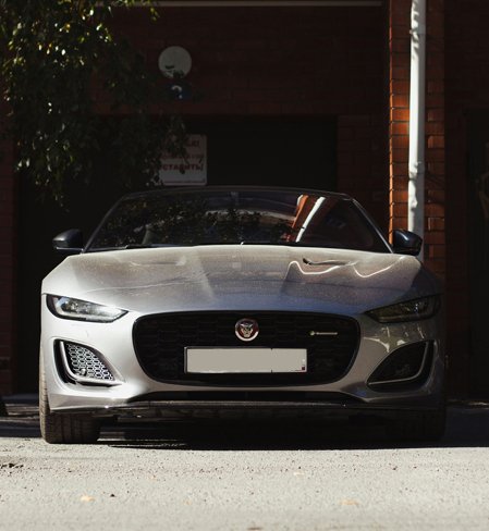 Jaguar Insights